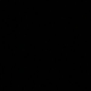 Meet your Posher, Jonty